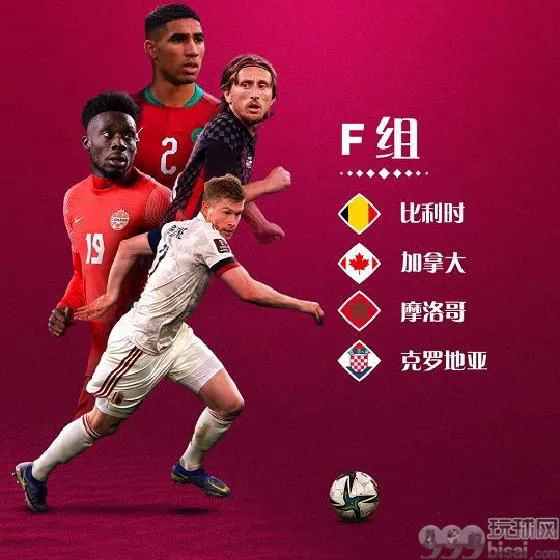 世界杯小组赛F组巡礼