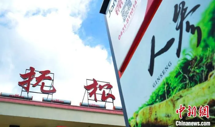 人参已成为抚松的一张地域“名片”。　高龙安 摄