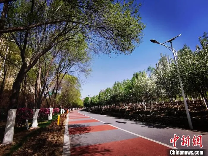 图为青海西宁一处绿道。　张添福 摄
