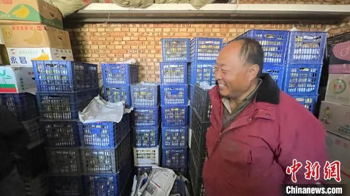 村民李明大家的仓储房内，一箱箱个大皮薄的玉露香梨整齐摆放。　杨静 摄