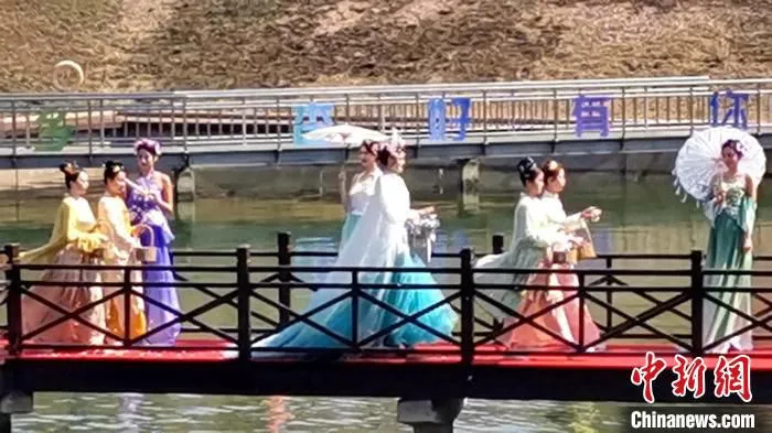 杏花仙子飘洒花瓣。　赵桂华 摄