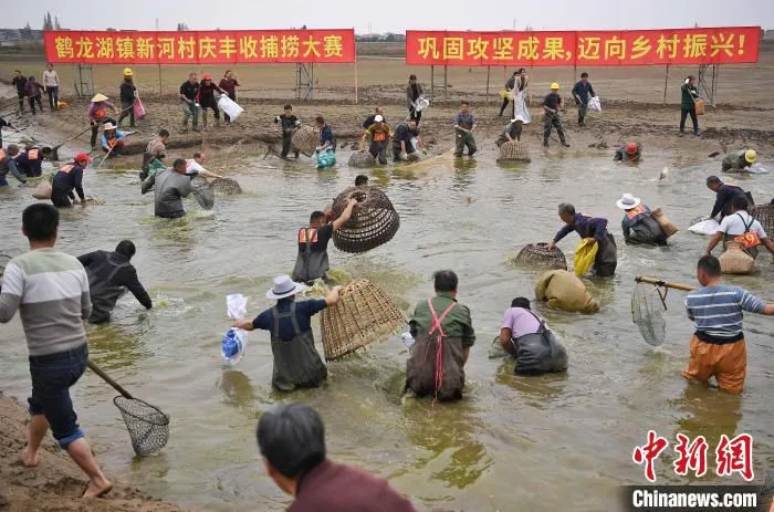 环湖靠城的鹤龙湖新河村庆丰收。　傅聪 摄