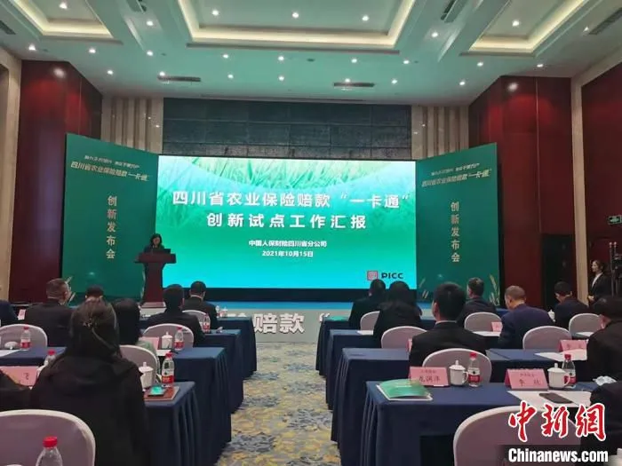 人保财险四川省公司相关负责人介绍试点情况。杜成 摄