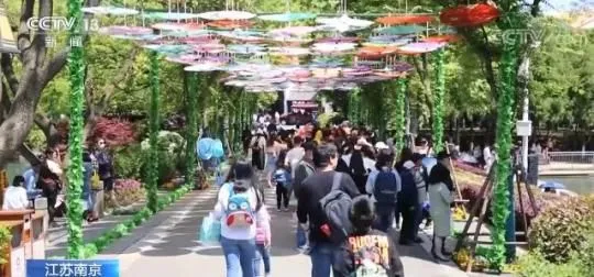 各地运用数字科技技术 让游客“智慧旅游”愉快出行