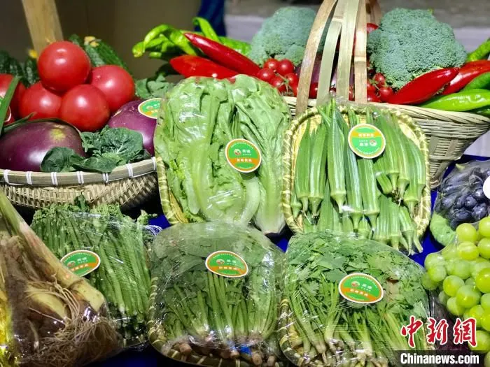 宁夏特色蔬菜。　李泽阳 摄