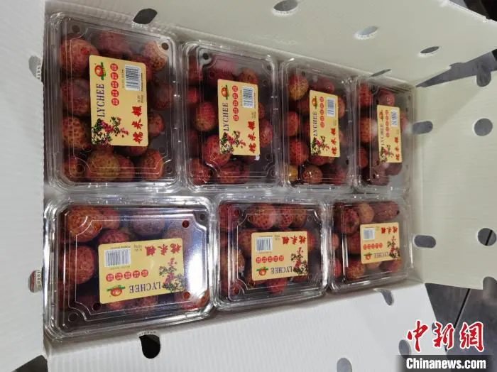 图为惠州出口荔枝。　惠州市农业农村局供图