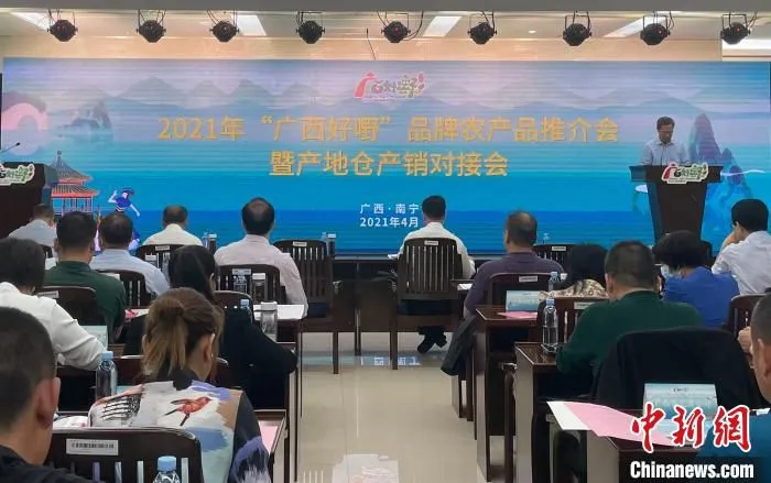 图为“广西好嘢”品牌农产品推介会暨产地仓产销对接会现场。　黄令妍 摄