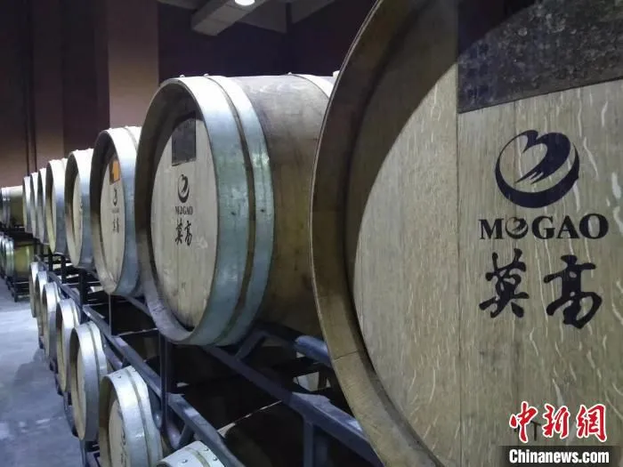图为武威莫高酒庄。(资料图) 崔琳 摄