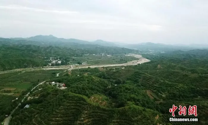 当地成片的果园。(无人机拍摄 )中新社记者 翟羽佳 摄