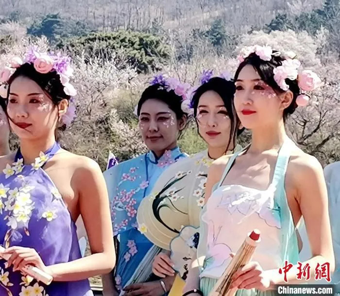 与杏花比美！　赵桂华 摄