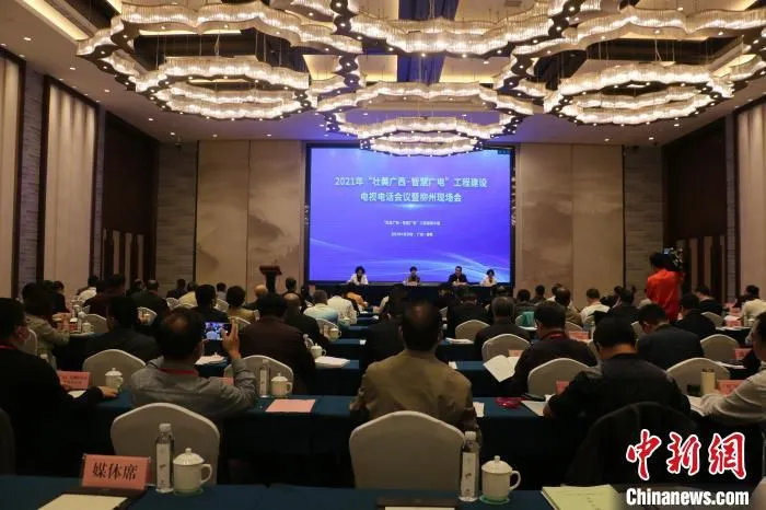 图为会议现场。　林馨 摄