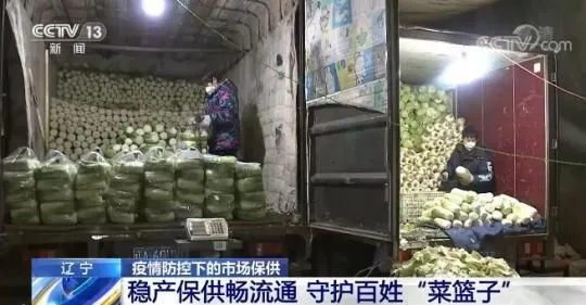 辽宁各地稳产保供畅流通 全力守护百姓“菜篮子”