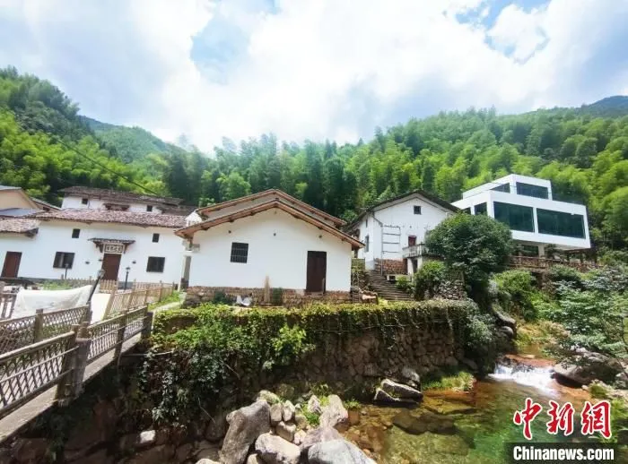 张西村村景。　郑晨 摄