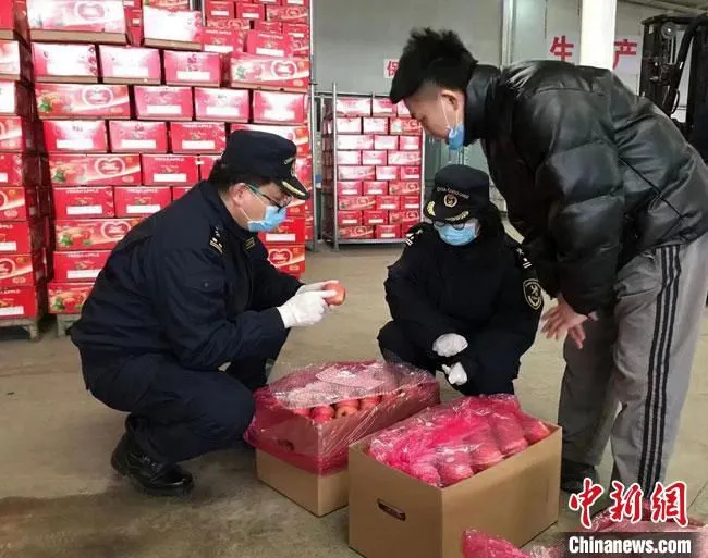 图为兰州海关所属平凉海关工作人员对辖区企业开展“龙腾企业”培塑。(资料图) 兰州海关供图