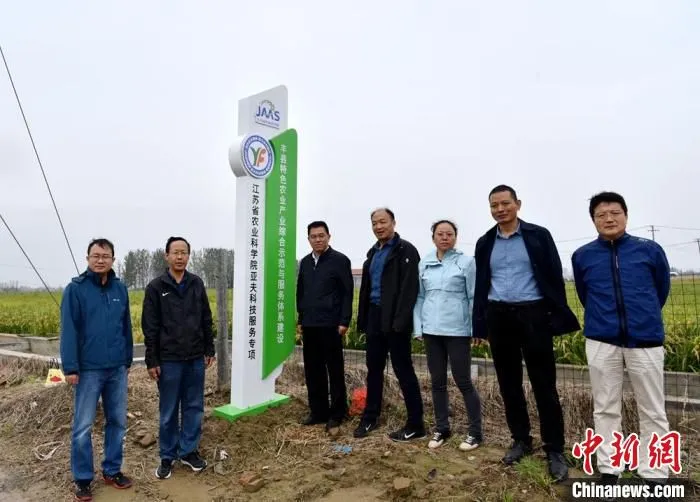 10月中旬，江苏农科院农业专家来到华山镇亚夫科技服务专项地块查看水稻长势。　朱志庚 摄