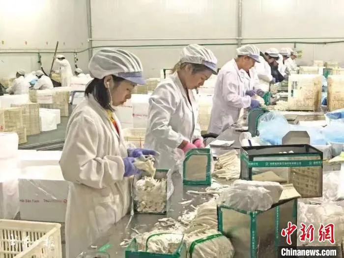 生产线上的工作人员正在工作。　谢冰媛 供图