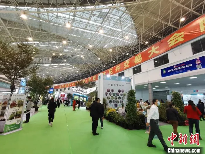 10月15日，2021中国·合肥苗木花卉交易大会在中国中部花木城——安徽省肥西县开幕。　张强 摄