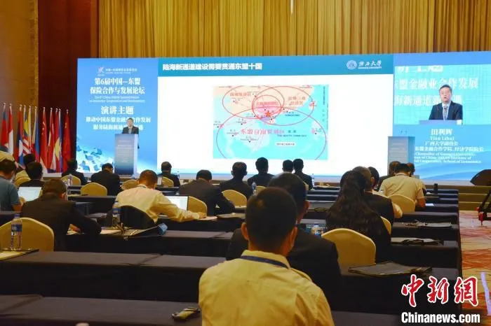 图为专家作主题演讲。　林洁琪 摄