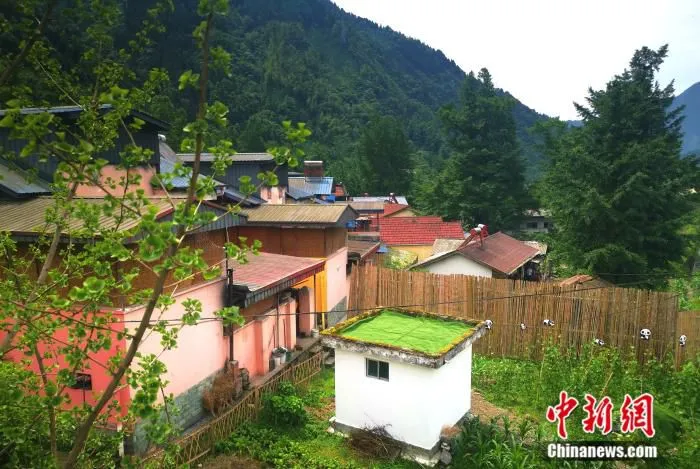 坐落于山间的彩色民居。 苑菁菁 摄