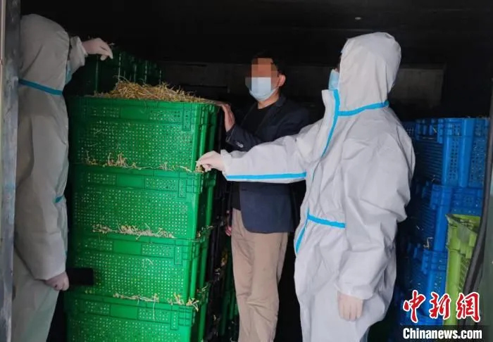 市场监管局公布“某合作社蔬菜团购”投诉处置案例。　上海市场监管局 摄
