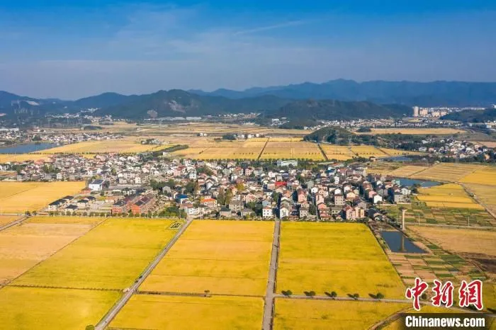 资料图：杜黄新村一景。　黄俊皓 供图