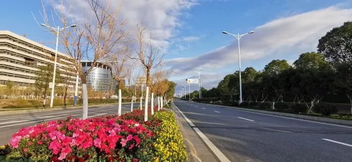 新城初春。供图 张子尧摄
