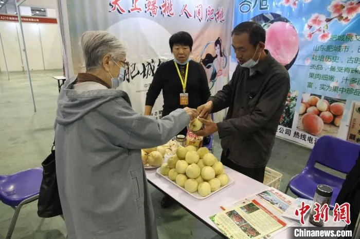 数万件参展产品引观展人驻足。　衣冠超 摄