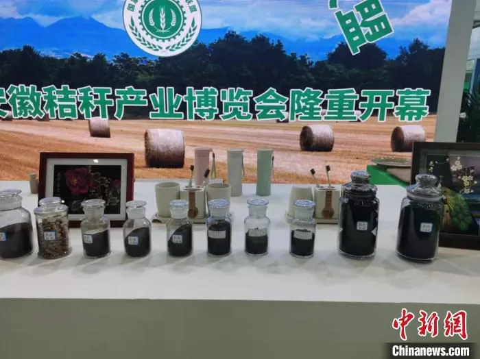 安徽秸博会参展展品。　张强 摄