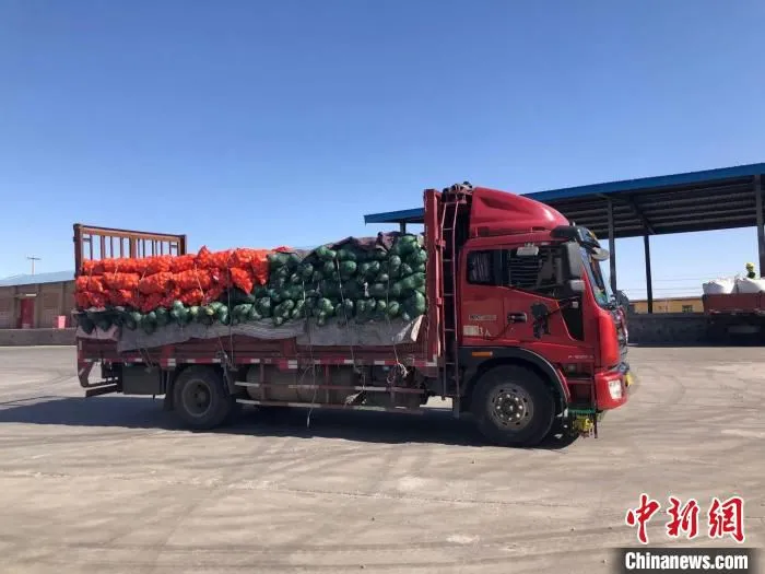 图为二连浩特铁路口岸关员查验出口果蔬。　梁晓虹 摄