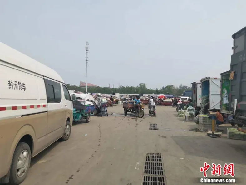 北京新发地。中新财经记者谢艺观 摄