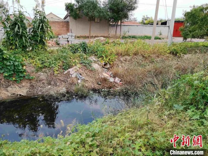 资料图：在农村生态环境保护方面，山东统筹推进农村生活污水和黑臭水体治理等各项重点工作。　山东省生态环境厅供图