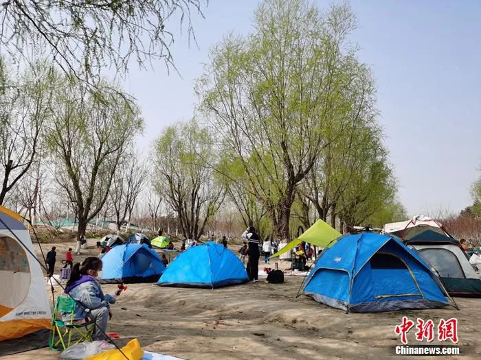 4月4日，众多游客在北京温榆河公园露营。中新网记者 李金磊 摄