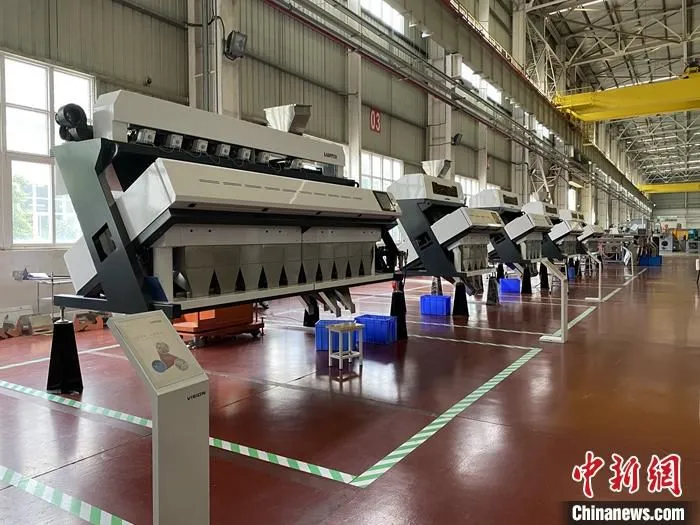 8月20日，合锻智能制造股份有限公司内的色选机产品。 中新社记者 吴兰 摄 
