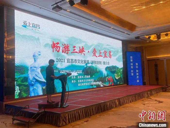 图为推介会现场。　张玮 摄