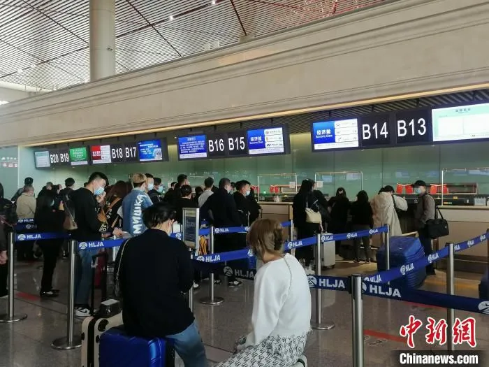 哈尔滨机场值机大厅。　哈尔滨机场提供 摄