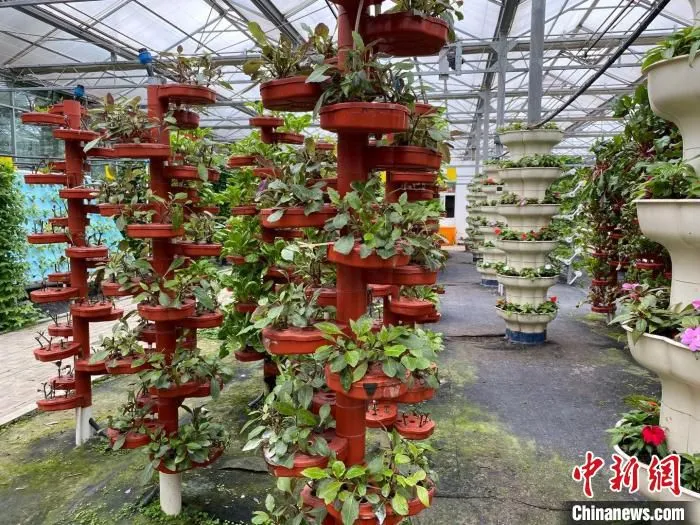 植物组培楼 李典 摄