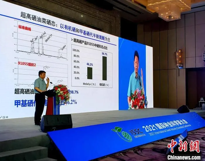 王汉中作题为《科技创新引领富硒产业绿色高效发展》演讲。　王晓斌 摄
