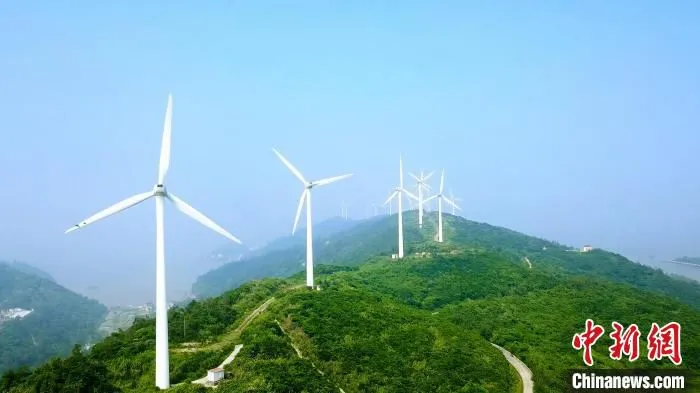 大陈岛风机 张添阳 摄