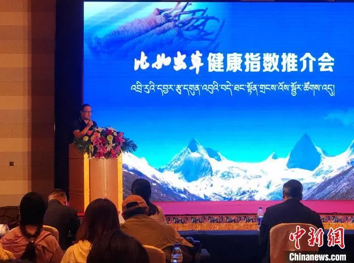 图为推介会现场。　冉文娟 摄