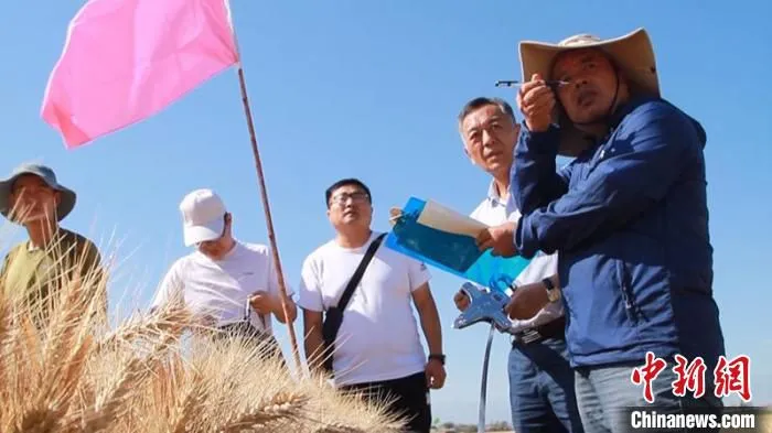 实地丈量。　樊守成 摄