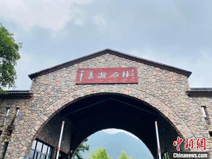 千岛湖石林景区 李典 摄