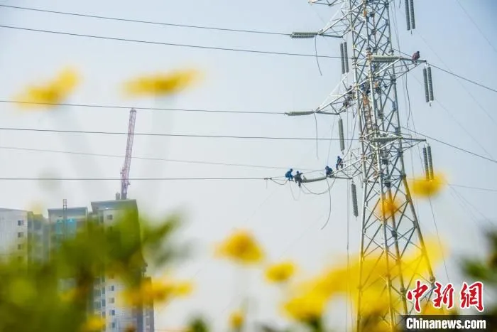 图为国网重庆电力员工在电力线路上进行检修工作。　况敏 摄