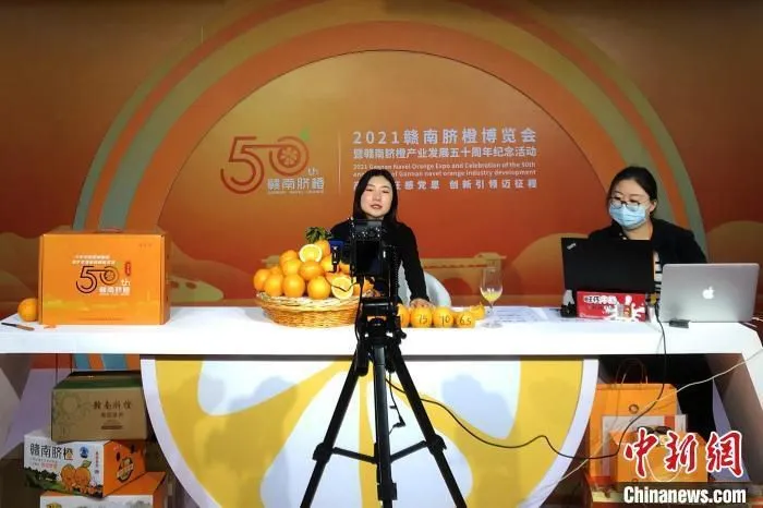 图为2021赣南脐橙博览会期间，一位电商主播推广赣南脐橙。(资料图) 吴鹏泉 摄