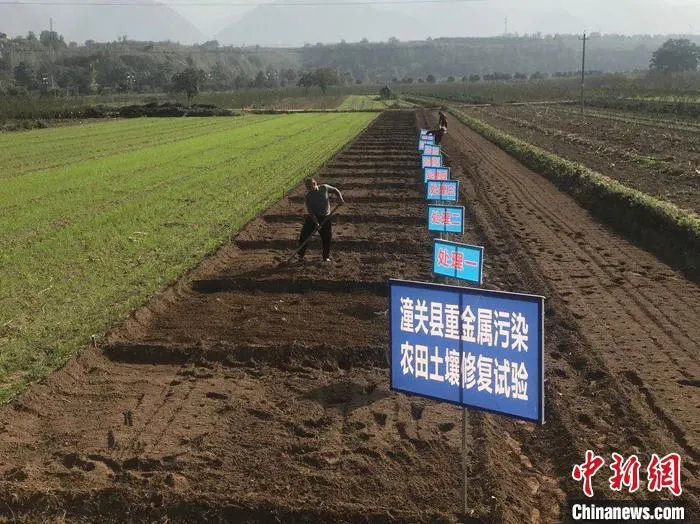图为农田土壤修复。　陕西省农业农村厅 供图 摄