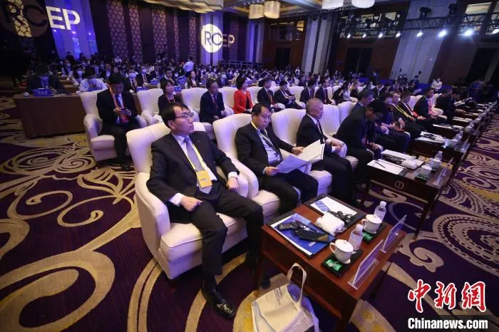 RCEP各国有关政府部门官员、贸易投资促进机构和商协会代表、驻华使节、专家学者等200余人与会。　胡耀杰 摄