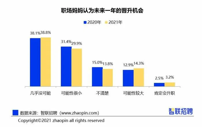 职场妈妈认为未来一年的晋升机会。　智联招聘供图。　摄