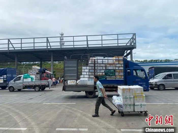 海口市菜篮子江楠农产品批发市场内运输车、货车来来往往。　符宇群 摄