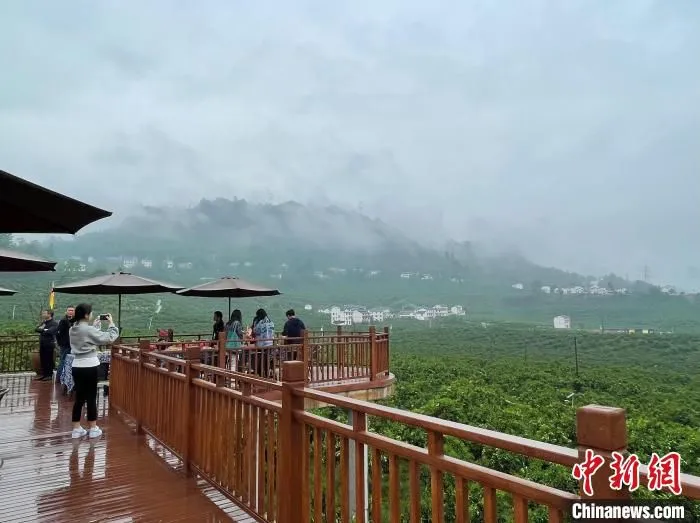 图为重庆万州区甘宁镇楠桥村古树别院观景台吸引游客打卡。　王婷婷 摄