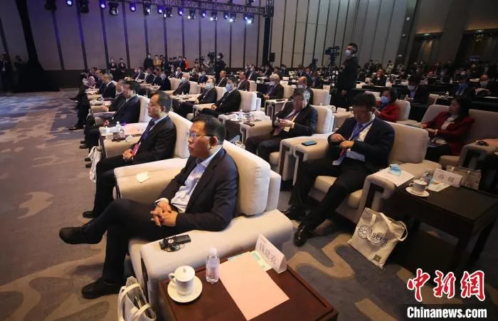 来自中国和欧洲的数十位知名企业家、专家学者通过“线上+线下”的方式与会。　胡耀杰 摄
