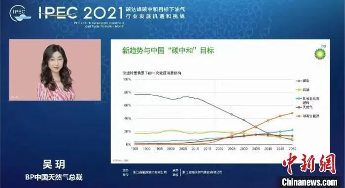 “云会议”上，嘉宾分享观点。　直播截图 摄